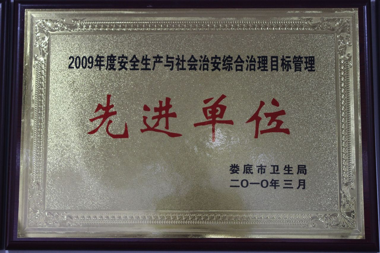 2009先进单位奖