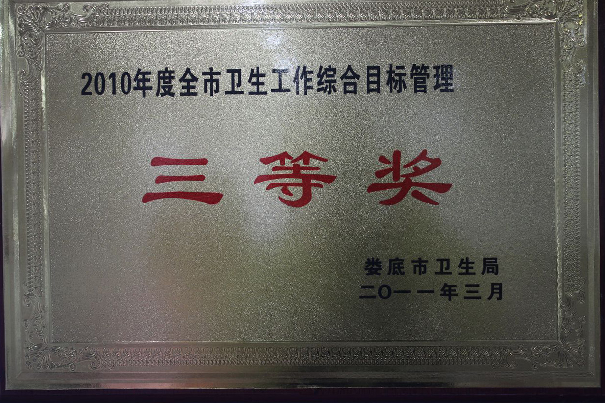 2010三等奖
